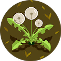 Profile photo of Leslie Carroll