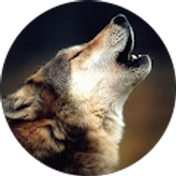 Profile photo of Gina W