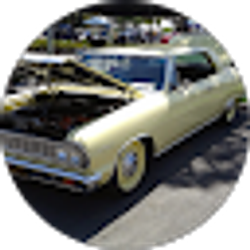 Profile photo of Raymond Jamieson