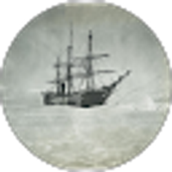 Profile photo of 00 Snowe