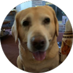 Profile photo of françois