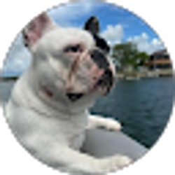 Profile photo of Stephen Spiekhout