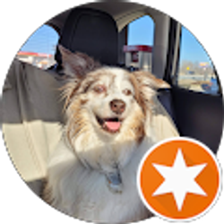 Profile photo of Jill Jones (IHYT)