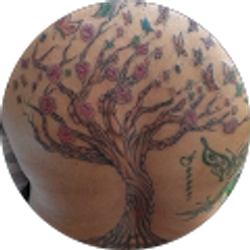 Profile photo of Tree Life