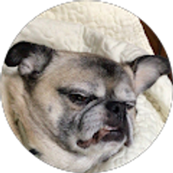 Profile photo of LSPH