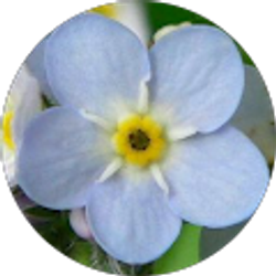 Profile photo of asf meg