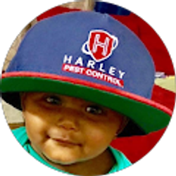 Profile photo of Harley Pest Control