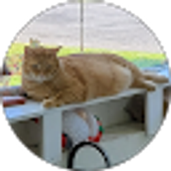 Profile photo of Canance Marcano