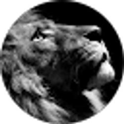Profile photo of Raynaldo Santana