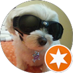 Profile photo of Khwanjai Kongsawatsak