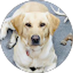 Profile photo of Audra wilt