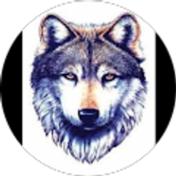 Profile photo of LoneWolf