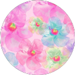 Profile photo of Cydnei Charles