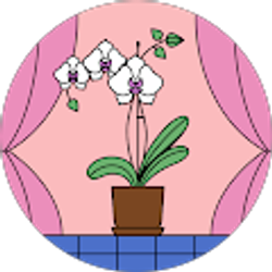 Profile photo of Bichu Huang