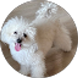 Profile photo of luis ramirez
