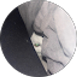 Profile photo of Hilary Marty
