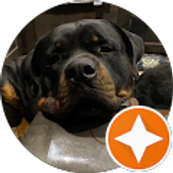 Profile photo of Mrs. Ervin