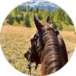 Profile photo of Jan Gilpin