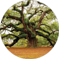 Profile photo of Kathryn Purvis