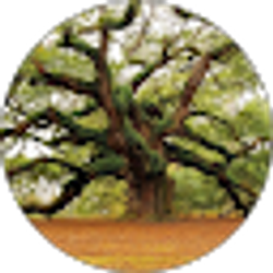 Profile photo of Kathryn Purvis