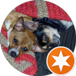 Profile photo of Angie Mazzella