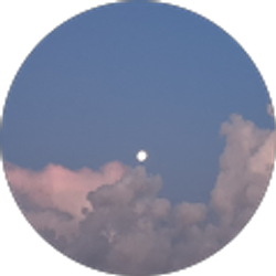 Profile photo of S. Madison Elder