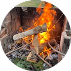 Profile photo of Charlene Nelson