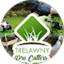 Profile photo of Trelawny Pro Cutters