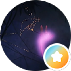 Profile photo of Rae C