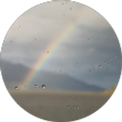 Profile photo of Chris Naquin