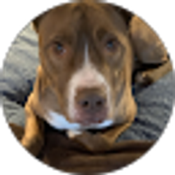 Profile photo of Matt Nelson