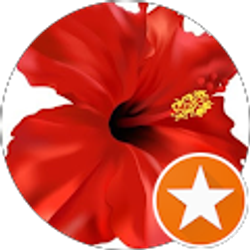 Profile photo of Davon B.