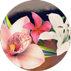 Profile photo of Luwam Birhane