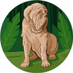 Profile photo of YT- totony