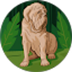 Profile photo of YT- totony