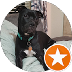 Profile photo of Erica Spielman