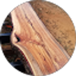 Profile photo of Darren King