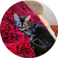 Profile photo of mel wynn