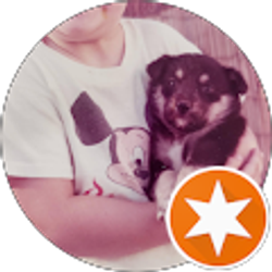 Profile photo of Zadar Dalmatian