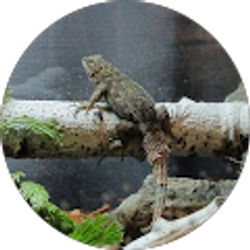 Profile photo of Tyler Jackson