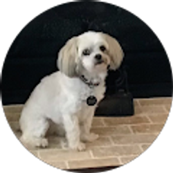 Profile photo of Nancy Versteeg