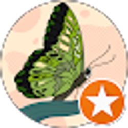 Profile photo of L K