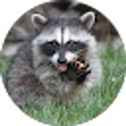 Profile photo of Michael D