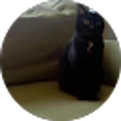 Profile photo of Ben Cropper