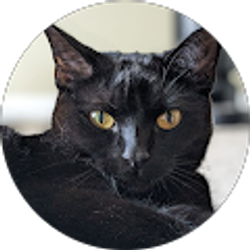 Profile photo of jacky