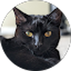 Profile photo of jacky