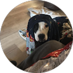 Profile photo of Ami Woollums