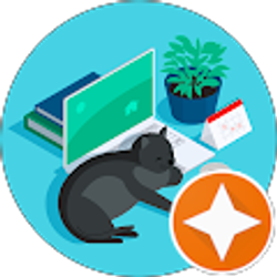 Profile photo of Missy Tamara