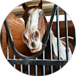 Profile photo of Eliza Smith