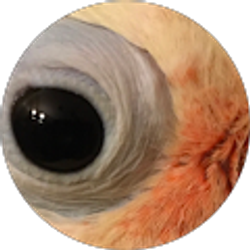 Profile photo of D F